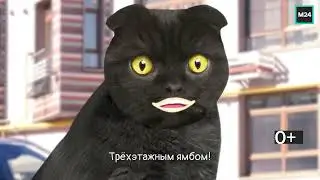 Стихийные парковки | Кот Бублик