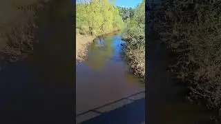 riv. kawa