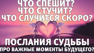 Что спешит? что стучит? что случится скоро? Послания судьбы про важные моменты будущего?