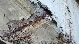 Machine-Learning Based Mobile App for Determining Corrosion