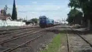 319 con coches