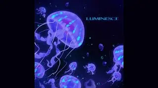 Evan Perry & Gavin Leeper - Luminesce (Music Video)