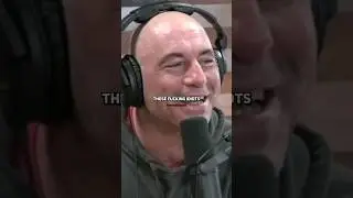 Joe Rogan on Cane Toads 