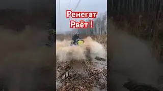 Какая резина у него ?  