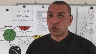 Гипоталамус и точка ЦИ-ХАЙ VC-6.