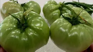 Kacchey Tamatar Ki Sabji 🍅 • Sangeeta's World