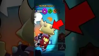 ¿En qué Gastó 1,000,000 de Gemas ESTE Jugador de Brawl Stars?