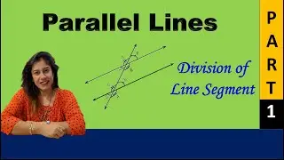 DAV Math - Class 8 - Parallel Lines - Division of Line
