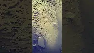 Заброшенный завод 