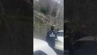 Kadıköy de arabama ağaç düştü