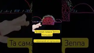 Приподнятая грядка для овощей, ягод и деревьев. #огород #пермакультура #дача #сад #зеппхольцер