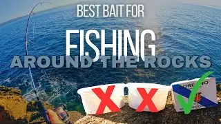 BEST BAIT FOR ROCK FISHING!