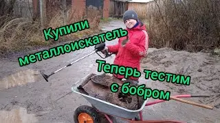 Бобры нашли целую тележку чермета
