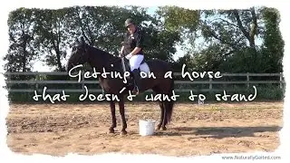 How to get on a horse that doesn't want to stand