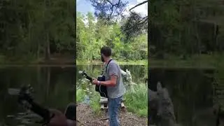 Live from a forest in Finland 🍃 