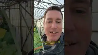 Kun je oud zaad gewoon nog zaaien?