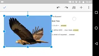 Image Editing, Header and Footer in Google Docs Mobile Android
