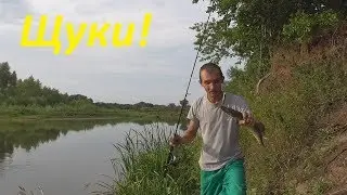 Щуки!
