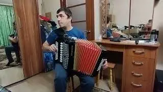 Очередная многотембровая гармонь. Играет гармонист Денис Барболин