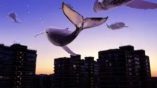 Save Us. Adobe After Effects
