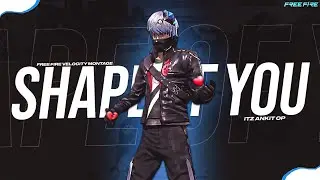 Shape Of You A Free Fire Velocity Montage || Ed Sheeran - Shape Of You FF Montage || Itz Ankit Op 💙