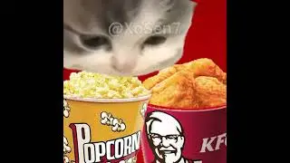 BANANA CAT 🍌🐱 BABY EATS OTHER CAT'S FOOD AND HIDES IN PORTA-POTTY 