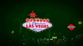 VEGAS 2020