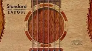 Acoustic Standard (E A D G B e) | GUITAR TUNER