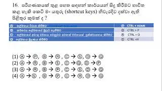 Western Province 2020 Third term ICT past paper part 1 paper discussion 16 to 20 questions
