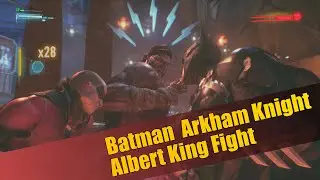 Batman Arkham Knight Albert King Fight | Robin & Batman Dual Team Play | 2022 PC