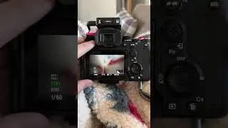 Sony a7IV How do I customize my function button menu?