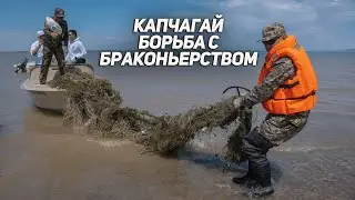 Капчагай / Борьба с браконьерством