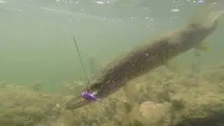 Shimano Exsence DC XG, Тейлспиннер. Рыбалка на один час!