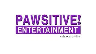 Pawsitive Entertainment - Sizzle Reel