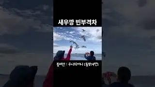 새우깡 빈부격차