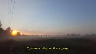 Туманное августовское утро
