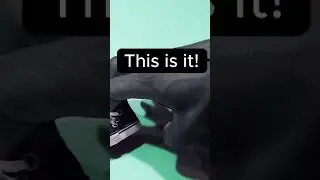 But can you do this? 