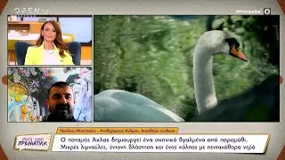 Ο μοναδικός για τις Κυκλάδες υγρότοπος, στα Άχλα της Άνδρου | Ποιος είναι πρωινιάτικα; | OPEN TV