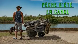 Road trip d'été en canal ~ Pêche de la carpe ~ Carpe Style