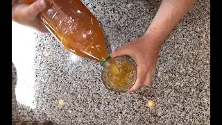Домашний Квас по-быстрому делаем сами.