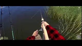 Russian Fishing 4