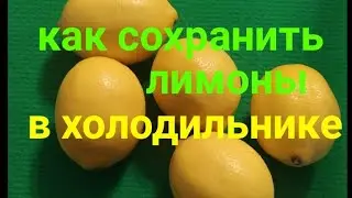 Как🥭 долго сохранить целыми и свежими лимоны в холодильнике