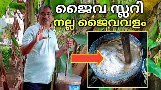 ജൈവ സ്ലറി എന്ന നല്ല ജൈവവളം എങ്ങനെ തയ്യാറാക്കാം |How to make Jaiva Slurry|Homemade Liquid Fertilizer