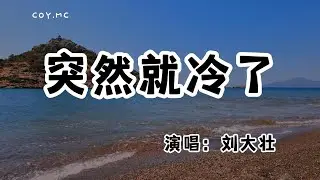 劉大壯 - 突然就冷了『又一場雪紛飛落在這個季節』（動態歌詞/Lyrics Video/無損音質/4k）