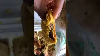 Eating Jamaican 🇯🇲food for lunch