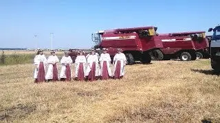 Уборка 2017