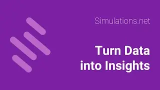 Data-Driven Insights with Simulations.net
