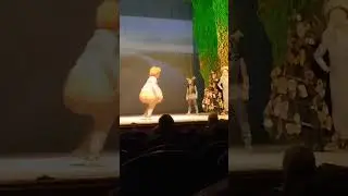 зеленый бобер