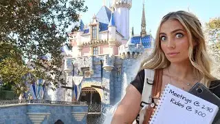 i used disneyland as my office