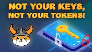 How to Keep your FLOKI Tokens Safe